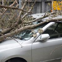 Allstate Insurance - Maria Alcantara-Schick Logo