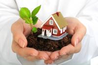 Tree Palms Landscape LLC Logo