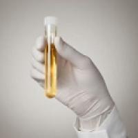 Employment Screening Inc Logo