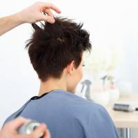 Barber Styling Institute Logo