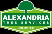 Alexandria Trees & Stumps Logo