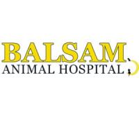 Balsam Animal Hospital Logo