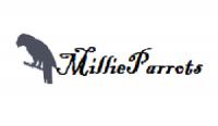 Millie Parrot Homes logo