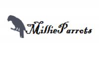 Millie Parrot Homes Logo