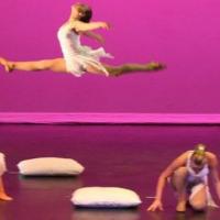 Michigan Academy of Dance & Music Logo