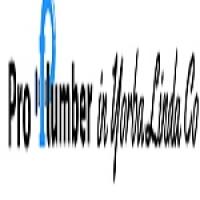 Pro Plumber in Yorba Linda Co Logo