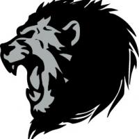 Alphawerks Window Tint & Paint Protection Film Logo