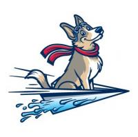 Sky Power Wash Logo