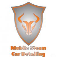 Fairfax Mobile Steam Car Detailing Logo