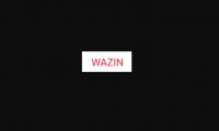 WAZIN Logo