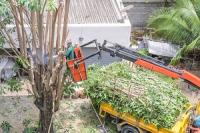 Fort Pierce Tree Service Logo