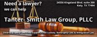 Tanter- Smith Law Group, PLLC logo