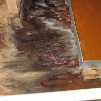 Water Damage Experts of Monterey Park Logo