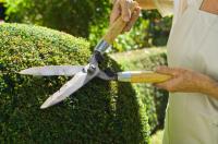 El Camello Landscaping Inc Logo