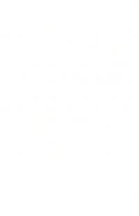 Superior Plumbing and Gas Logo