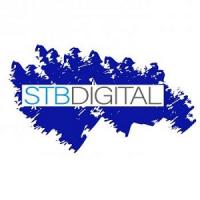 Simply The Best SEO Logo
