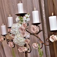 The Orchid: Luxury Flower Design Logo