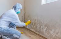 Mold Removal Memphis Solutions logo
