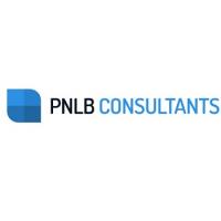 PNLB CONSULTANTS Logo