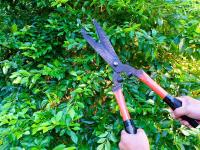 Tree Pruning Near Me Bloomfield Hills MI Logo