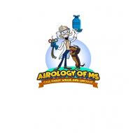 Airology of MS Logo