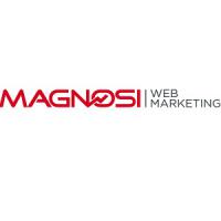 Magnosi Web Marketing Logo