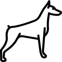 Top Dogz Towing Company Charlotte NC logo