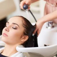 The Color Bar Lash & Brow Studio Logo