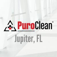 PuroClean Property Damage Restoration Logo