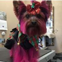 Puppy Love Pet Spa & Grooming Logo