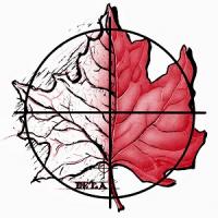 The Site Group Logo