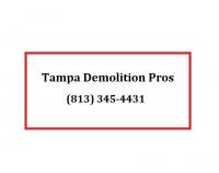 Tampa Demolition Pros logo