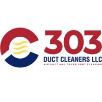 303 Duct Cleaning Logo