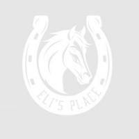Eli's Place Apartments Logo