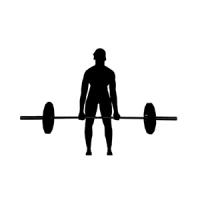 Gym Fitz for Chics Logo