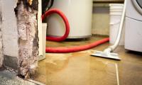 Water Damage Experts Of D Town Logo
