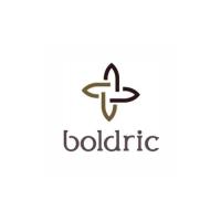 Boldric Logo