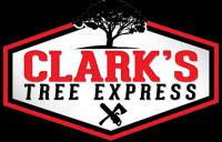 Clarks Tree Express Logo