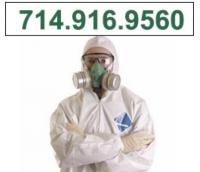 Los Angeles Mold Remediation Pros Logo
