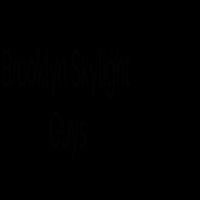 Brooklyn Skylight Guys | Repair, Installation, Solar Tubes, Sun Tunnels Logo