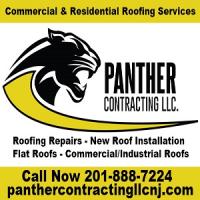 Panther Contracting LLC Industrial Roof Repair Logo