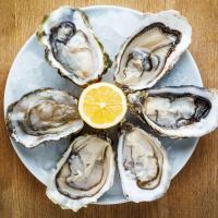 The Oyster Bar ll Logo