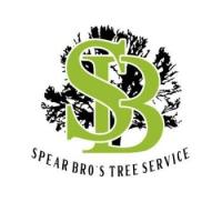 Spear Bro's Tree Service Logo