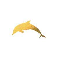 Dolphin Galleries  Logo