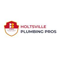 Holtsville Plumbing, Drain, and Rooter Pros Logo