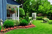 Wilcox Lawn & Maintenance Services Logo
