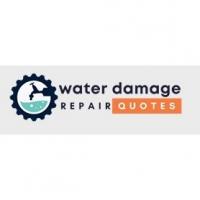 V Beach Water Damage Logo