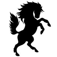 Cavallo Agency Logo