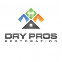 Disaster Cleanup a Dry Pros Company logo
