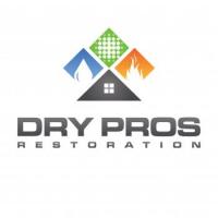 Disaster Cleanup a Dry Pros Company Logo